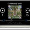 Auralic Aries G1 1