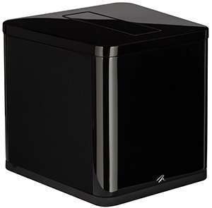 MartinLogan BalancedForce 210