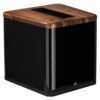 MartinLogan BalancedForce 210 d 02