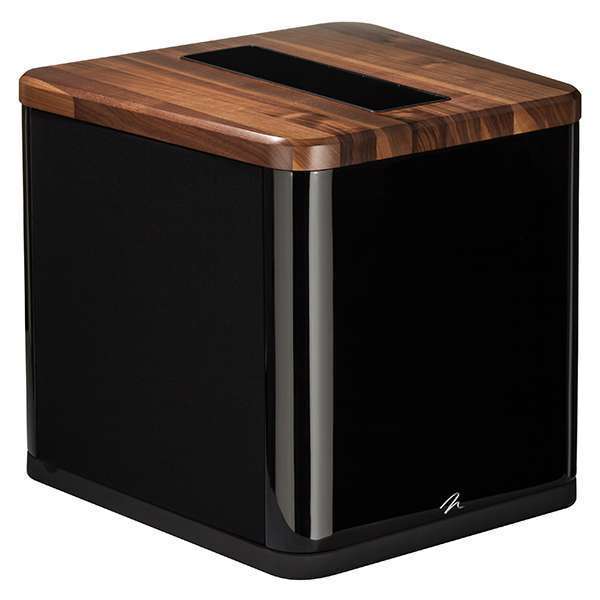 MartinLogan BalancedForce 210 d 02