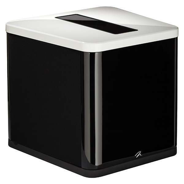 MartinLogan BalancedForce 210 gw 02