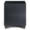 MartinLogan Dynamo 600X 02