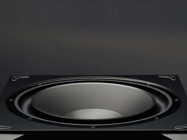 MartinLogan Dynamo 600X 08