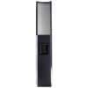 MartinLogan EFX 06