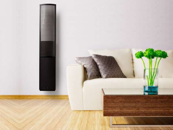 MartinLogan EFX 10
