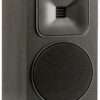 MartinLogan Foundation B1