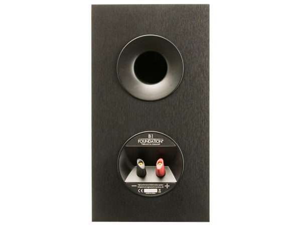 MartinLogan Foundation B1 back