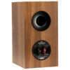 MartinLogan Foundation B1 walnut 05