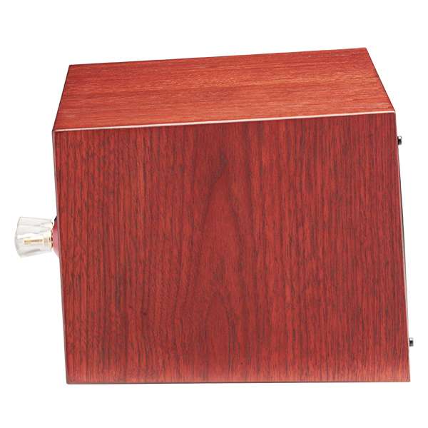 MartinLogan Motion 30i wa 07