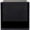 MartinLogan Motion AFX