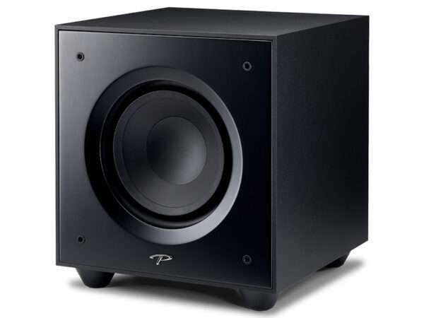 Paradigm Defiance V10 satin black 01