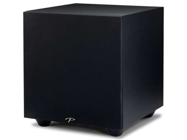 Paradigm Defiance V10 satin black 02