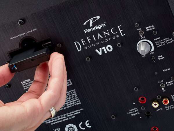 Paradigm Defiance V10 satin black 07