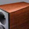Paradigm Founder 100F 11