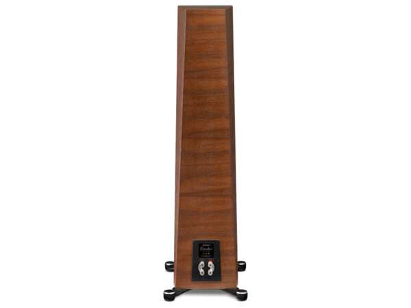 Paradigm Founder 100F rear