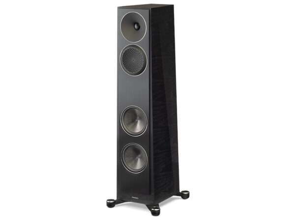 Paradigm Founder 80F black walnut 01