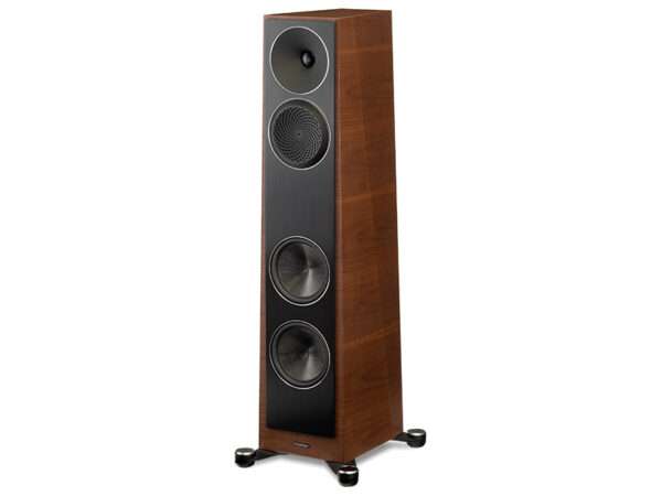 Paradigm Founder 80F walnut 01