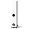Paradigm Monitor SE 3000F rear