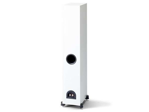 Paradigm Monitor SE 3000F rear