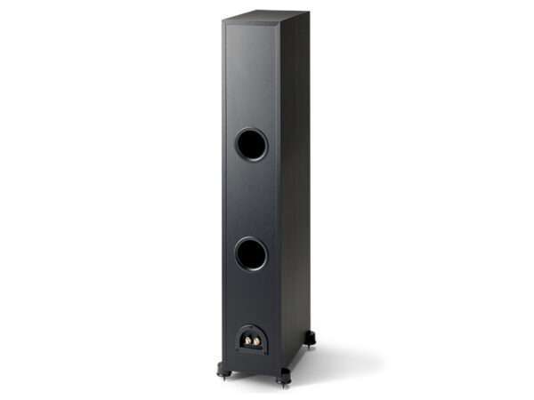 Paradigm Monitor SE 6000F rear