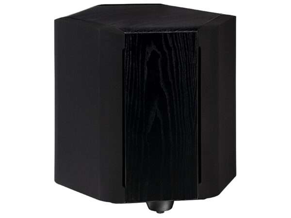 Paradigm SUB 2 black ash 01