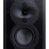 Perlisten R4i LCRS