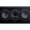Perlisten R5i C 01