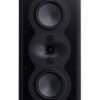 Perlisten R5i LR