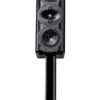 Perlisten S5m