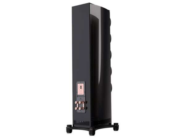 Perlisten S7t Limited Edition 06