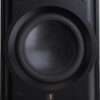 Perlisten R10s