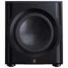 Perlisten R10s 01