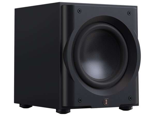 Perlisten R10s 03