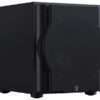 Perlisten R10s 04