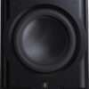 Perlisten R12s