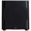 Perlisten R12s 02