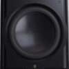 Perlisten R15s