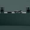 Pro Ject CAS fir green 02