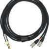 dan clark audio dummer