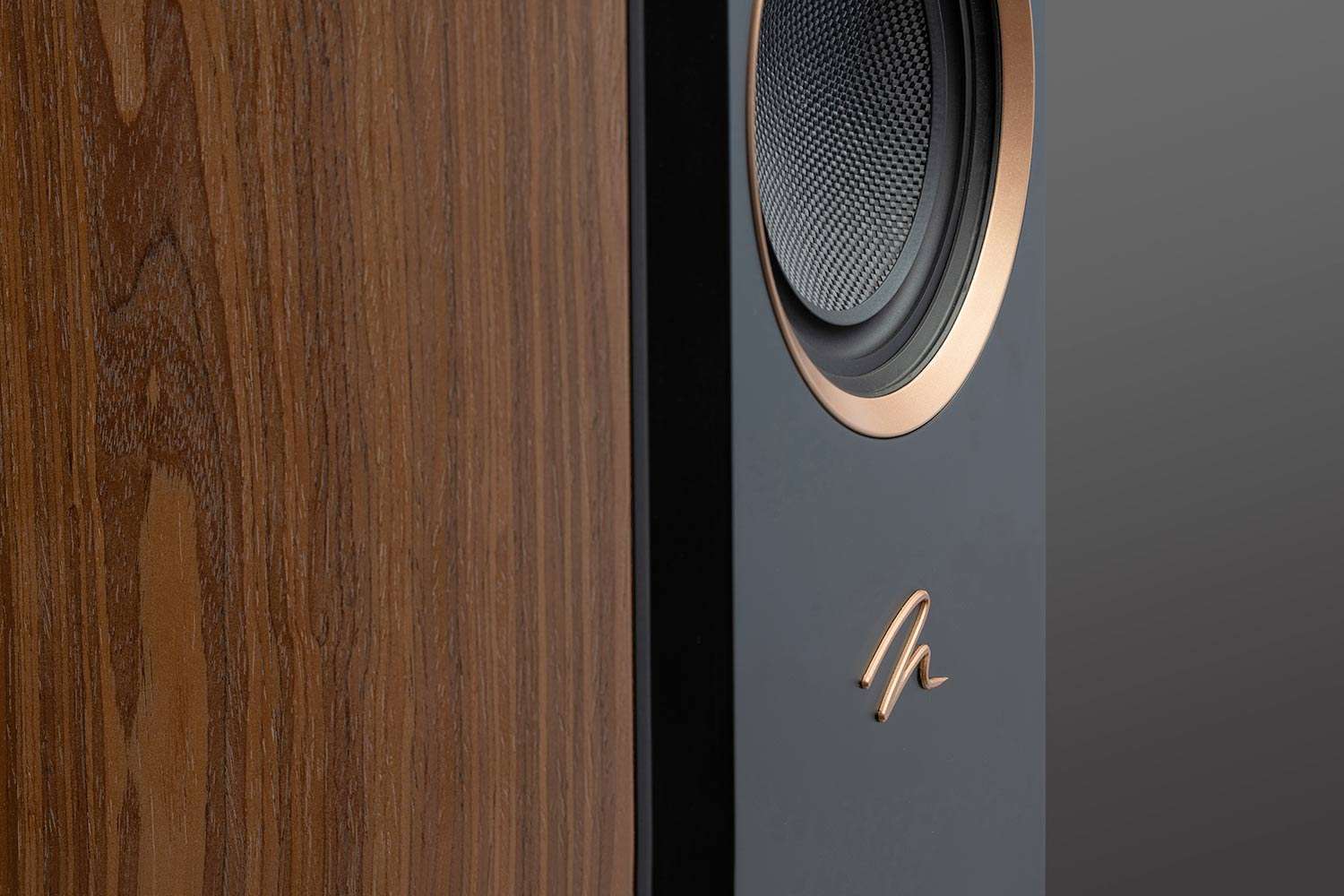 MartinLogan Motion 11 MartinLogan Motion 11