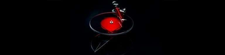 Pro Ject AC DC Turntable sdr