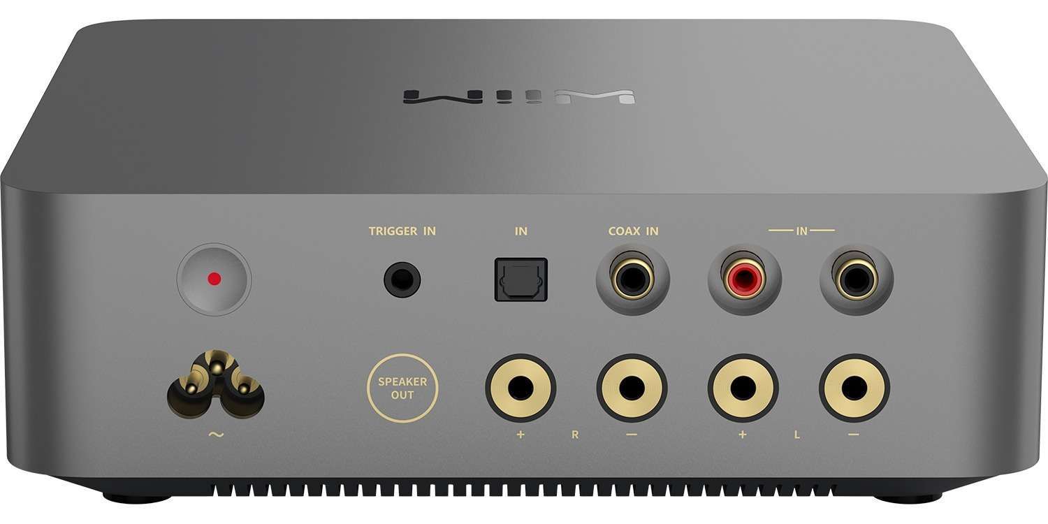 WiiM Vibelink Amp back WiiM Vibelink Amp back