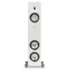 Motion F10