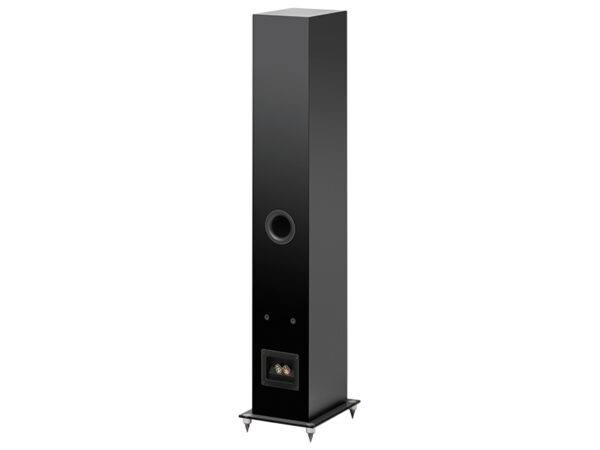 Speaker Box 10 E Carbon