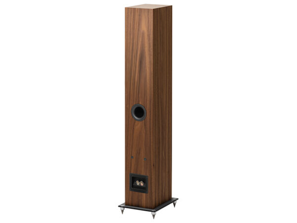 Speaker Box 10 E Carbon
