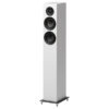 Speaker Box 10 E Carbon