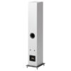 Speaker Box 10 E Carbon