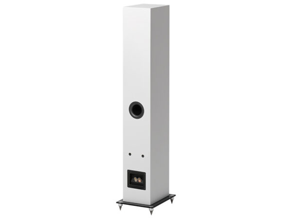 Speaker Box 10 E Carbon
