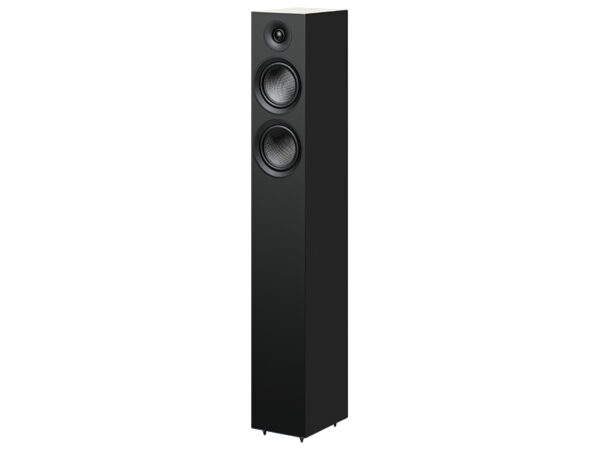 Speaker Box 12 E Carbon
