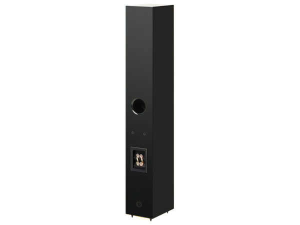 Speaker Box 12 E Carbon